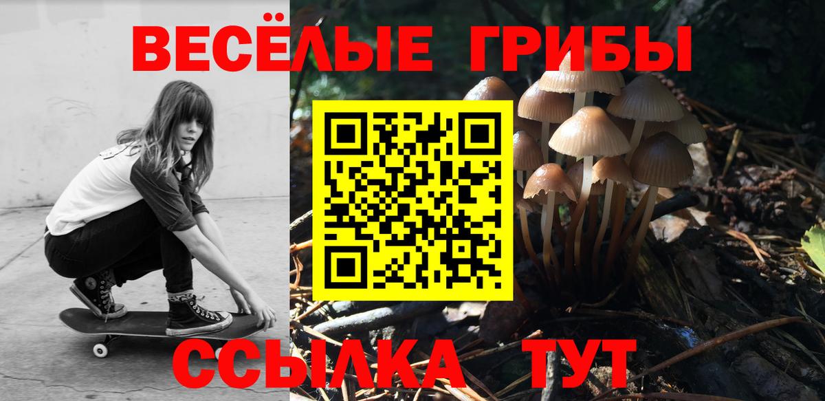 Галлюциногенные грибы MAGIC MUSHROOMS  Галлюциногенные грибы GOLDEN TEACHER  Междуреченск  Вход с VPN 