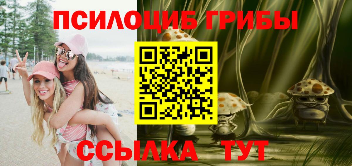 Псилоцибиновые грибы Psilocybe Междуреченск